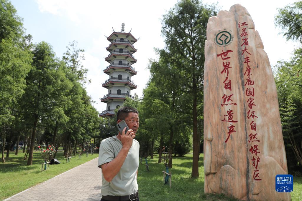 天天电玩城官方下载